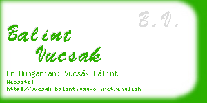 balint vucsak business card